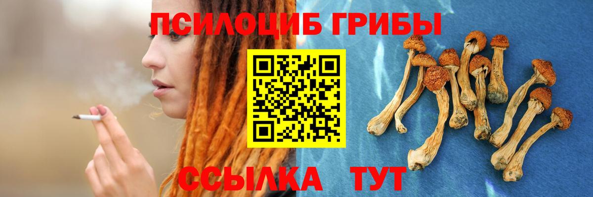 Псилоцибиновые грибы MAGIC MUSHROOMS Красный Сулин